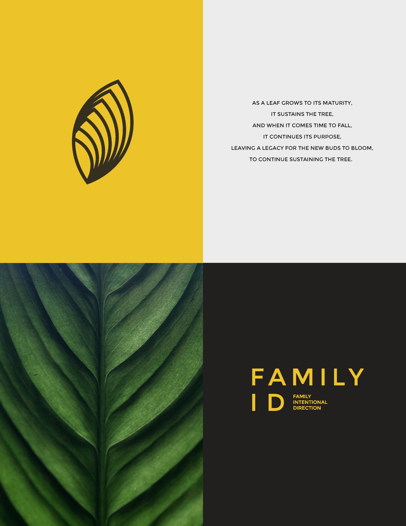 Brand Visual / Logo Design